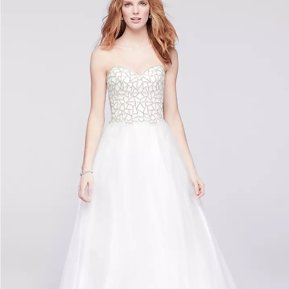 David’s Bridal Tulle Ball Gown with Web-Beaded Bodice - Terani Couture - Size 2